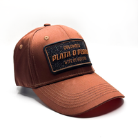 CASQUETTE PLATA O PLOMO BROWN GLITTER